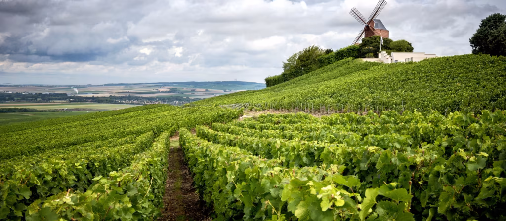 champagne-region